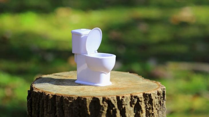 カナモトでレンタルできる快適トイレの機種は？スペックや借り方も解説